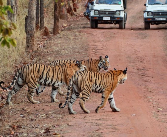 Madhya Pradesh